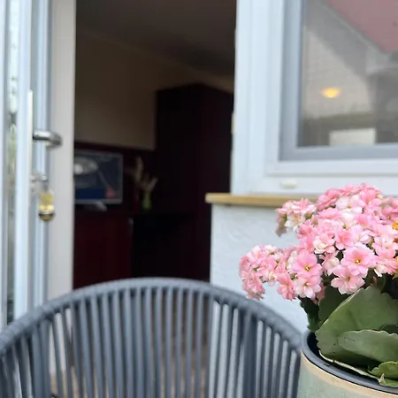 Gæstehus & 